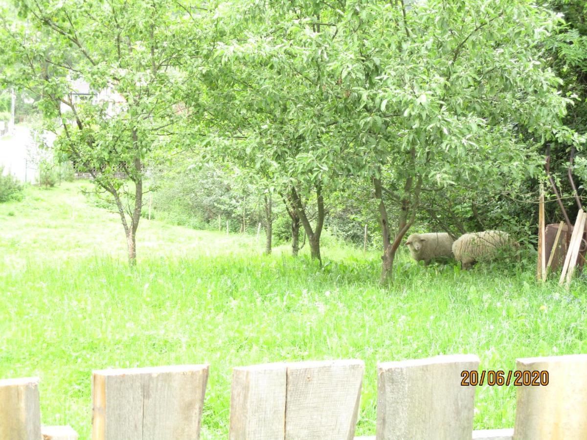 Agroturystyka Nad Brzegiem Kacwin 외부 사진
